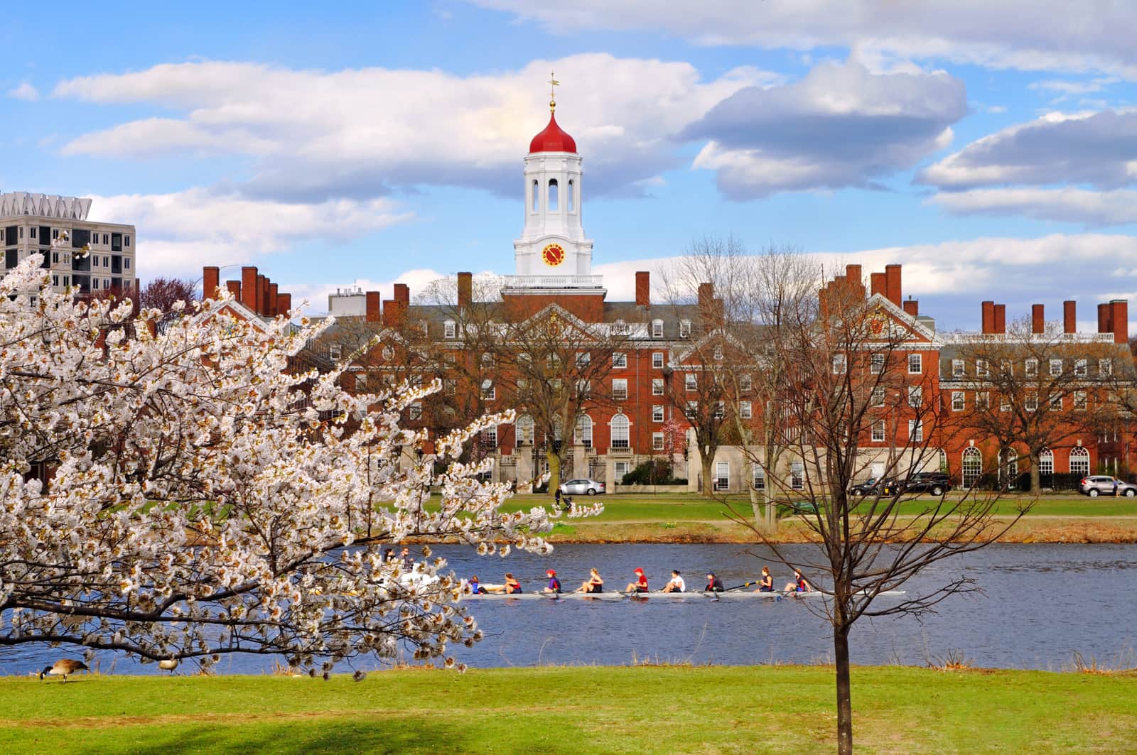 US Visa Rejections: Outdated System Stifles International Student Pipeline